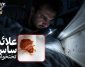 علائم ساس چیست؟ عکس ساس خانگی (نشانه های مخفی و خطرات ساس تختخواب)
