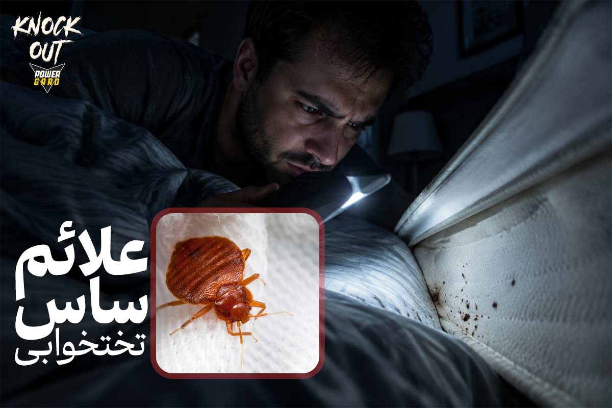 علائم ساس چیست؟ عکس ساس خانگی (نشانه های مخفی و خطرات ساس تختخواب)