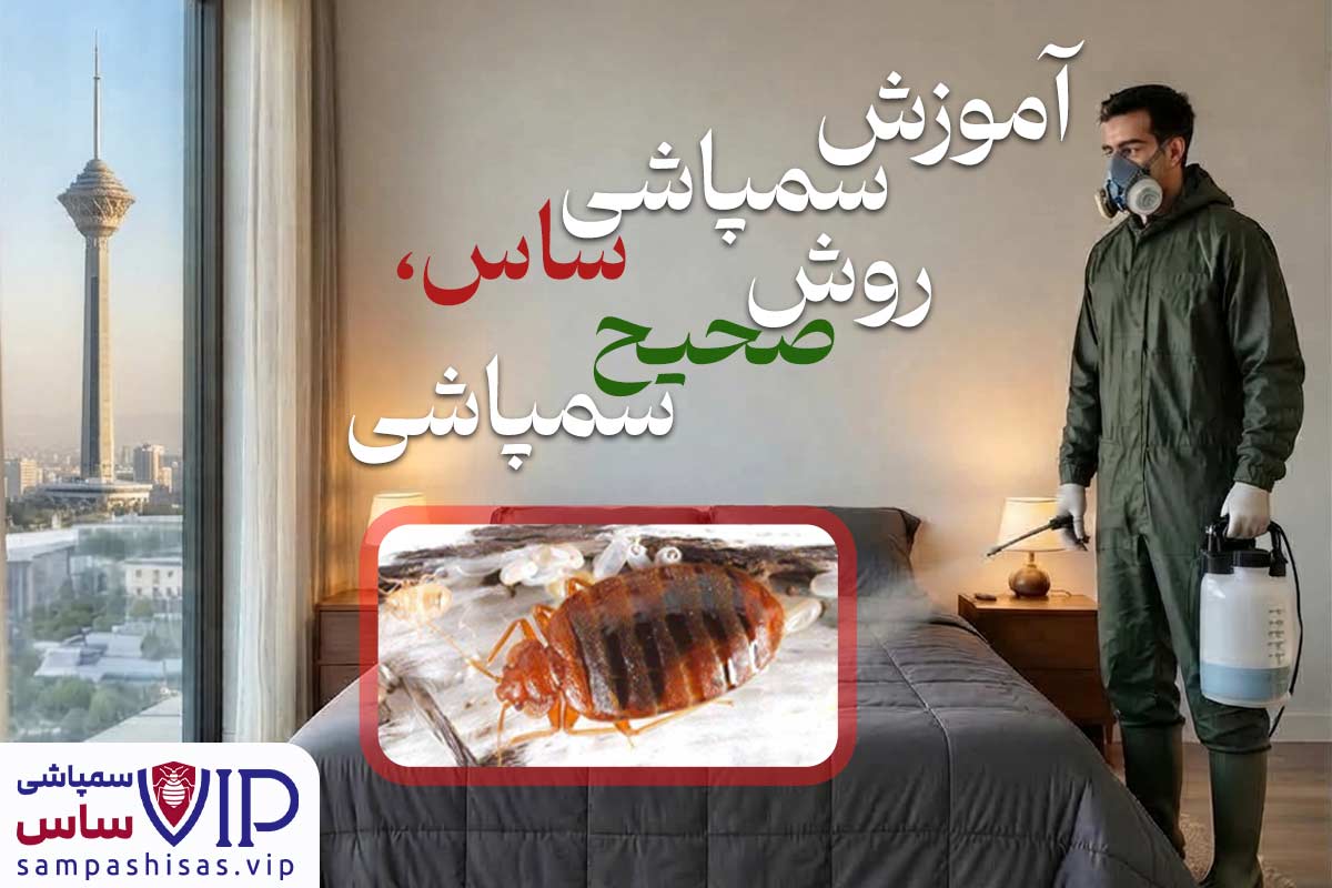 آموزش سمپاشی ساس؛ راهنمای انتخاب سم ساس کش، روش صحیح سم پاشی ساس و نکات مهم