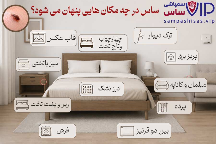 مرحله اول: شناسایی نقاط آلوده به ساس خانگی