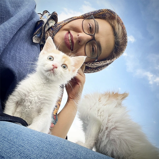 عکس گربه خانگی معصومه کریمی