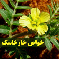 خواص خارخاسک چیست