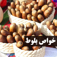 خواص بلوط چیست