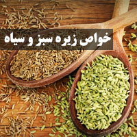 خواص زیره سبز و سیاه
