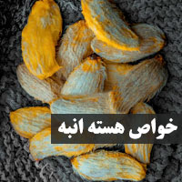 خواص هسته انبه چیست