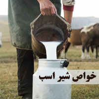 خواص شیر اسب برای انسان