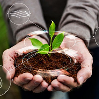 در خرید خاک به چه نکاتی باید توجه داشته باشیم؟